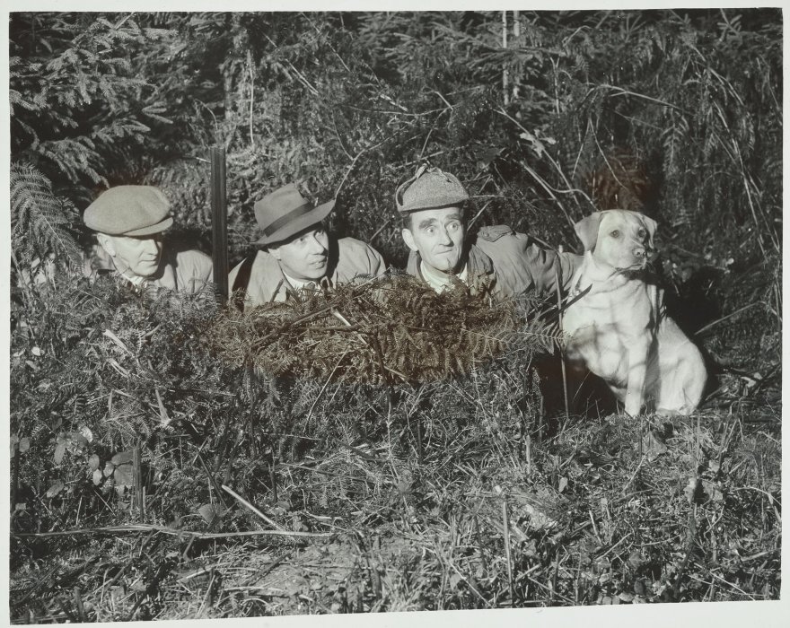 Three men and a dog looking out from behind a grassy bank