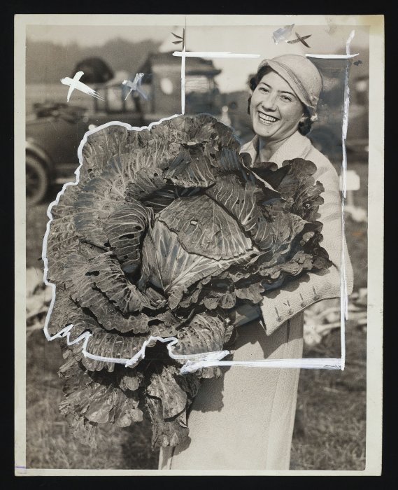 Woman holding enormous cabbage