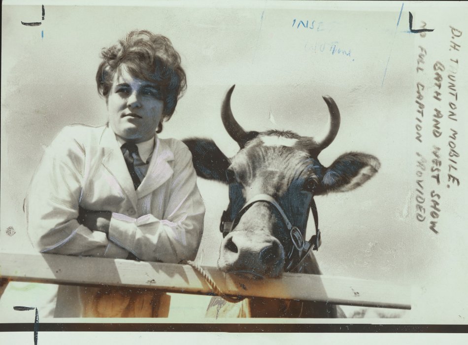 A young woman leaning against a fence next to a cow