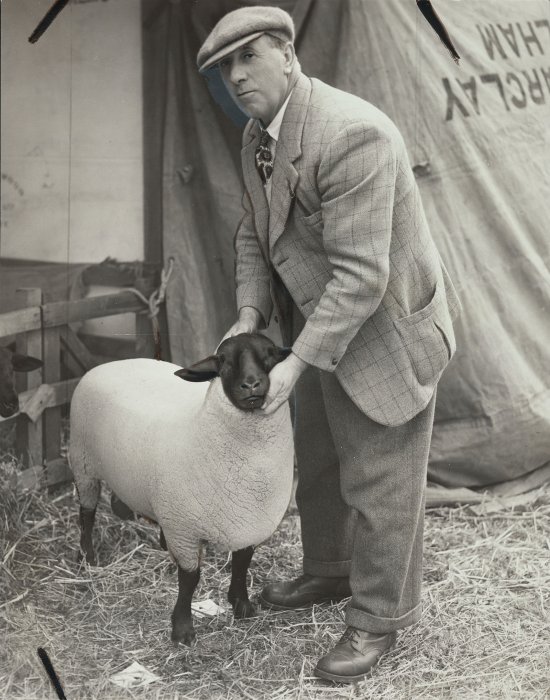 Shepherd holding a young ram