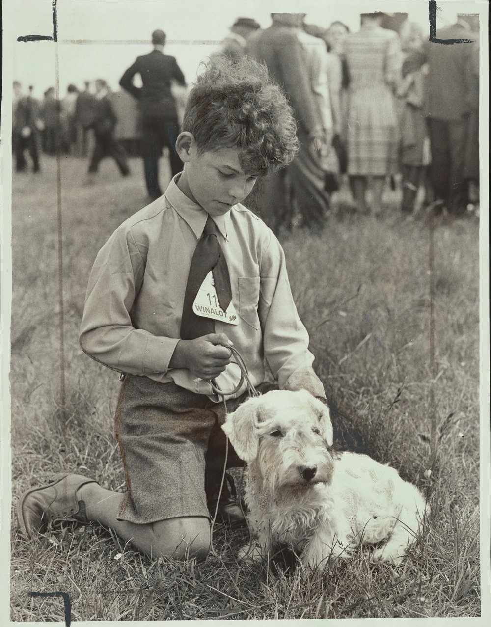 A young boy sitting on grass with a small white dog