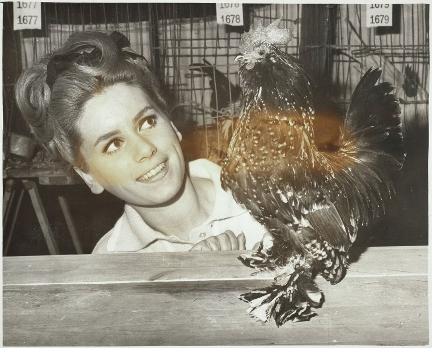 A young woman smiling next to a small fluffy chicken