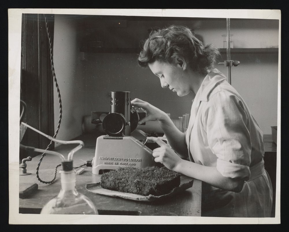 Woman  testing soil from South Wales for plant food with an electric apparatus