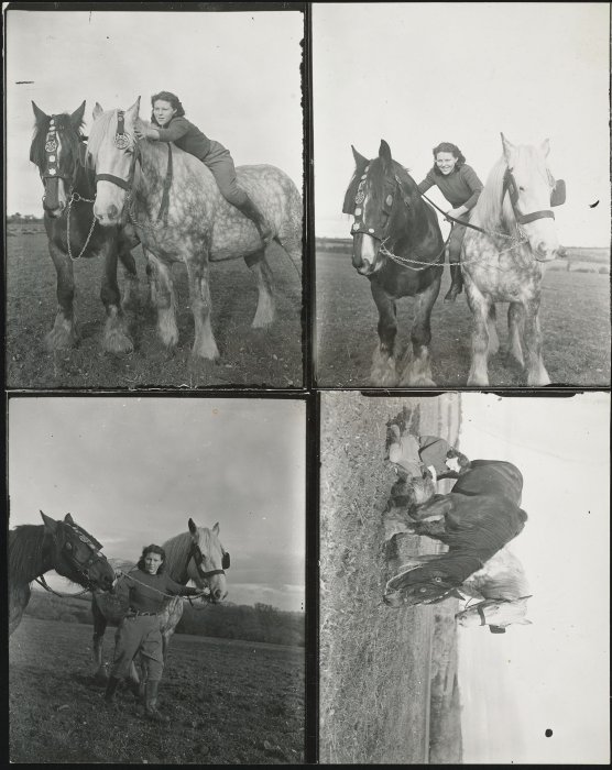 Series of four photos of a woman and two horses