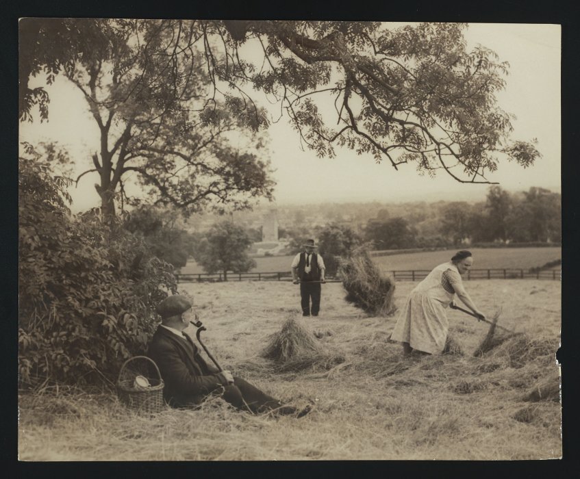 A woman and a man harvesting hay while a man rests under a tree smoking a pipe