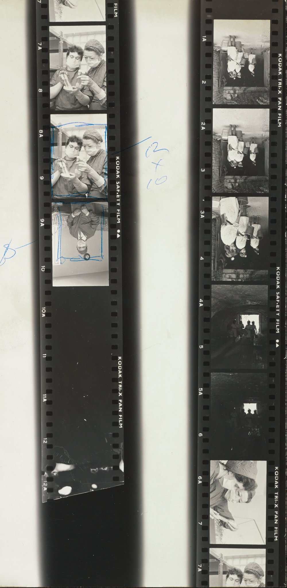 Strip of photographs showing scenes at a mushroom farm in 1963
