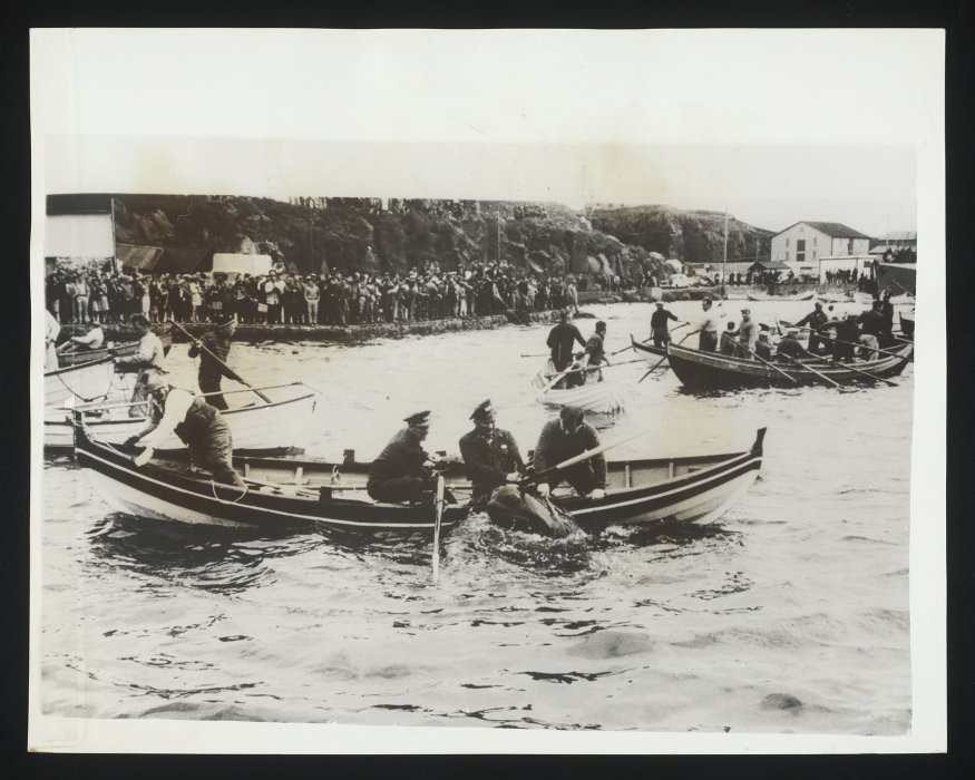 Groups of men in rowing boats leaving harbour
