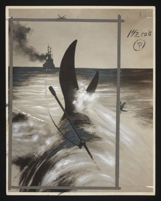 A whale struggles for life against the harpoon