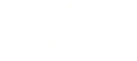 Pictureville logo